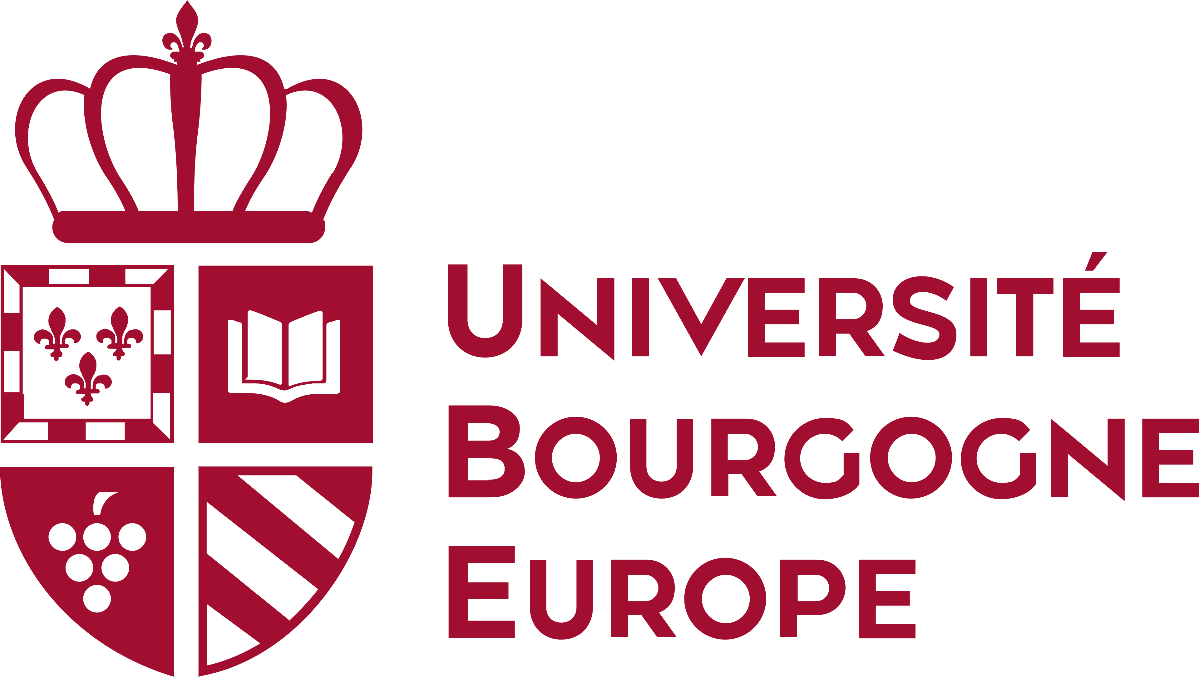 Université Bourgogne Europe